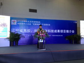 2012中国东北及环渤海地区中小企业专精特新产品技术展览洽谈会市场营销策划